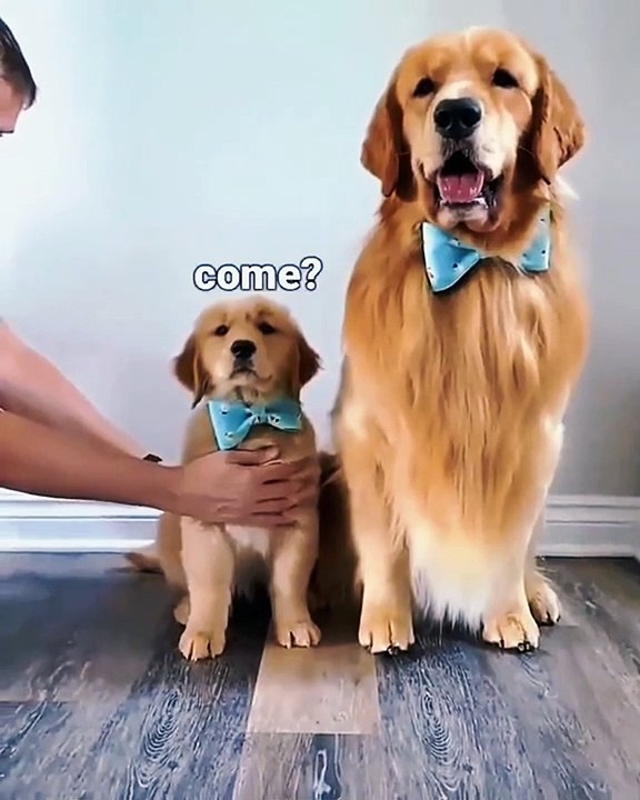 Taking Pictures of Kids