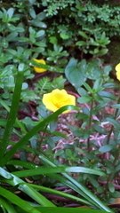 Jaga Harmoni dan Kebahagiaan dengan Berbakti kepada Orang Tua ❤️