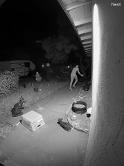 Doorbell Cam Catches Candy Thief in the Act