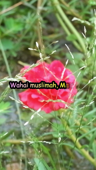 Hijab Tidak Memudarkan Kecantikanmu