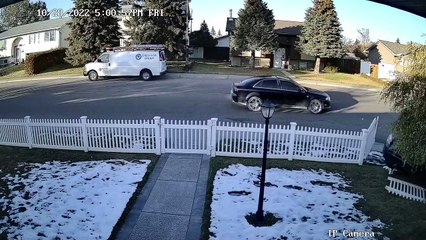 Person Learning to Drive Confuses Gas and Brake