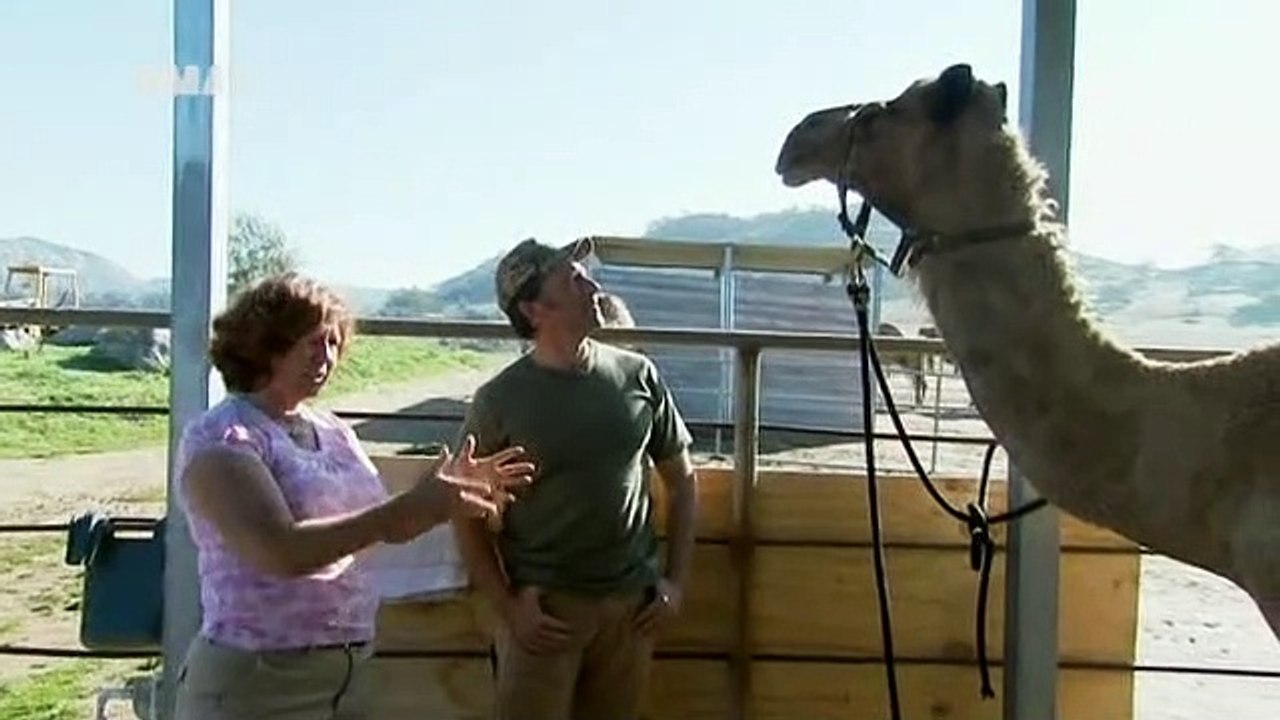 Dirty Jobs - Arbeit, die keiner machen will Staffel 4 Folge 12 HD Deutsch