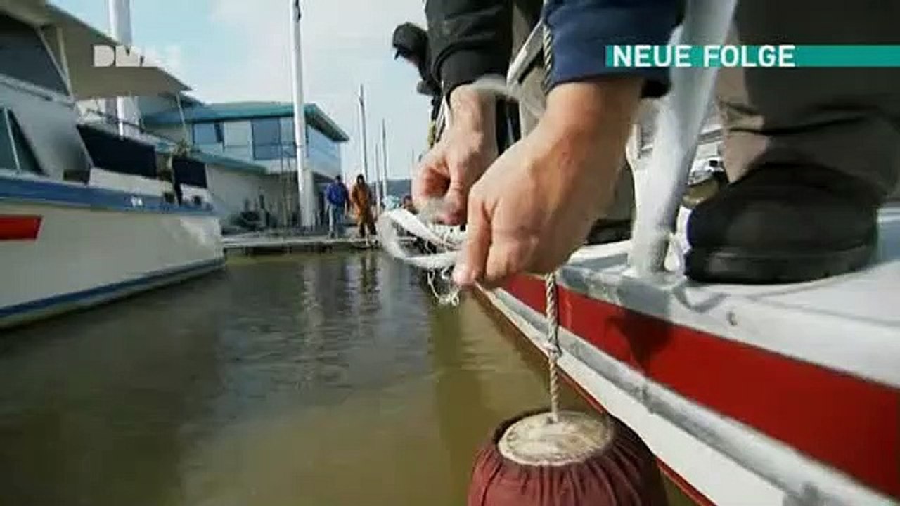 Dirty Jobs - Arbeit, die keiner machen will Staffel 4 Folge 17 HD Deutsch