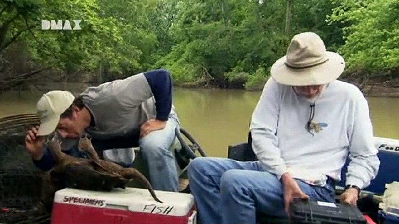 Dirty Jobs - Arbeit, die keiner machen will Staffel 4 Folge 11 HD Deutsch