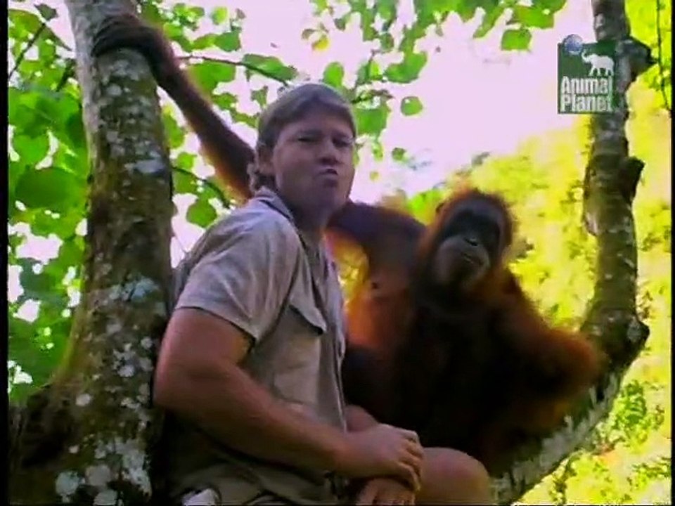 Crocodile Hunter Staffel 3 Folge 1 HD Deutsch