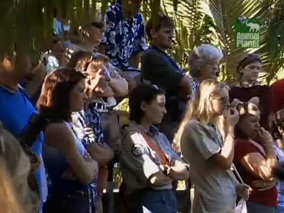 Crocodile Hunter Staffel 4 Folge 1 HD Deutsch