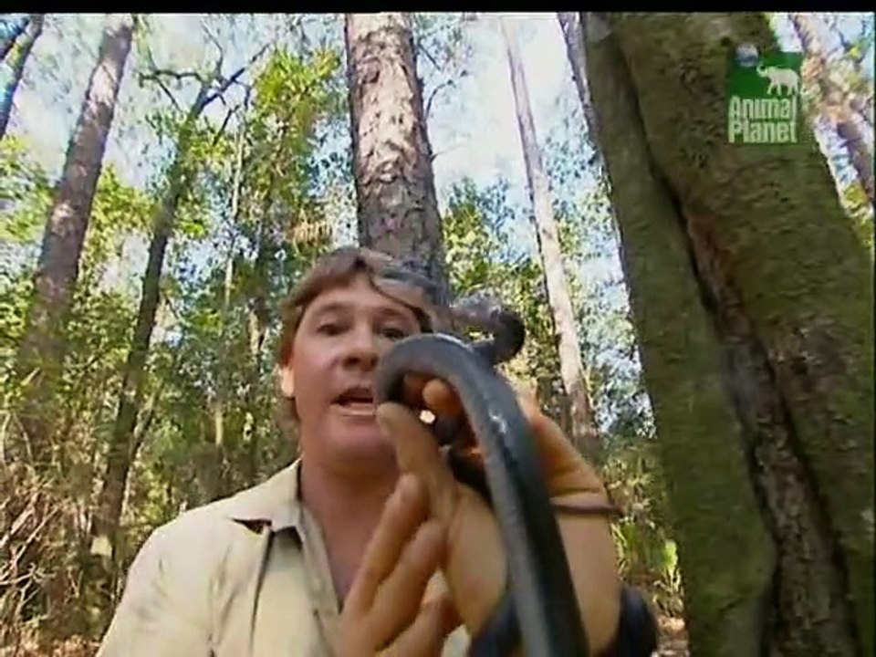 Crocodile Hunter Staffel 3 Folge 8 HD Deutsch