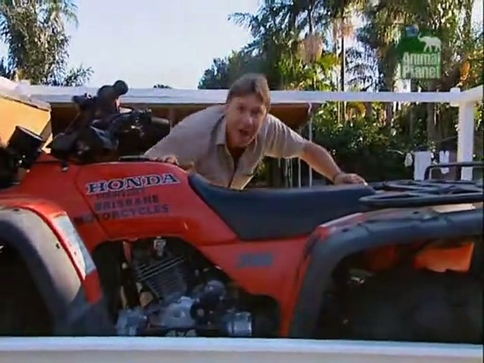 Crocodile Hunter Staffel 4 Folge 2 HD Deutsch