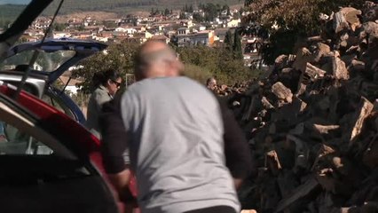 Leña: la alternativa a la crisis energética