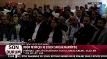Perinçek, PKK terör örgütüne seslendi: Kardeşlerim silah bırakın kucaklaşalım