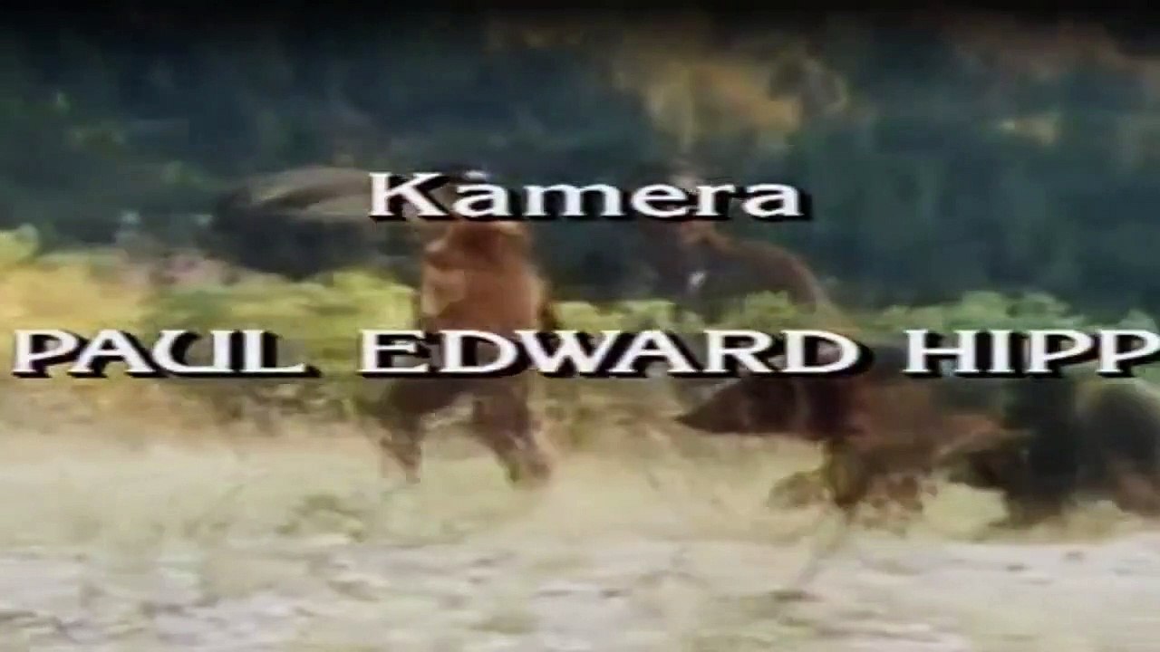 Der Mann in den Bergen Staffel 2 Folge 13 HD Deutsch