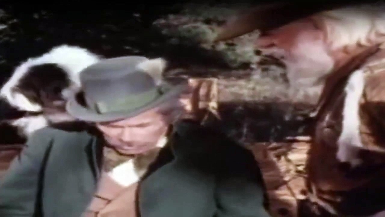 Der Mann in den Bergen Staffel 2 Folge 20 HD Deutsch