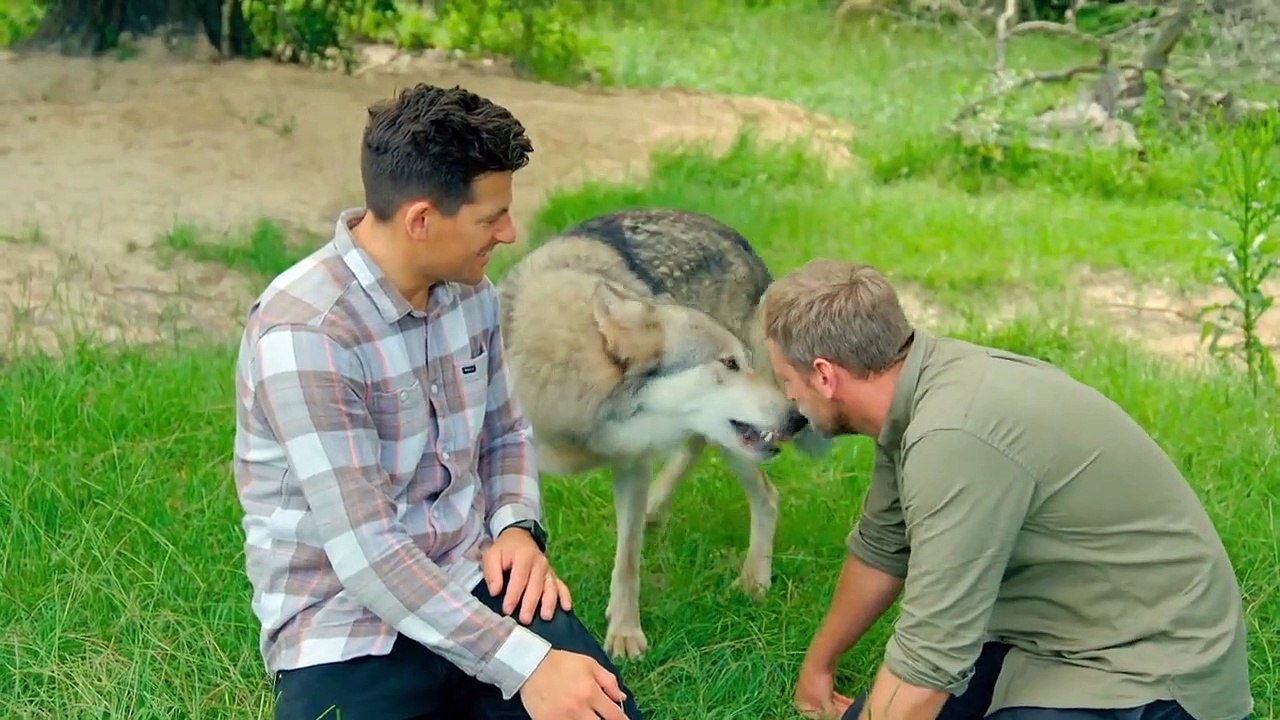 Animal Impossible - Tierische Tatsachen Staffel 1 Folge 7 HD Deutsch