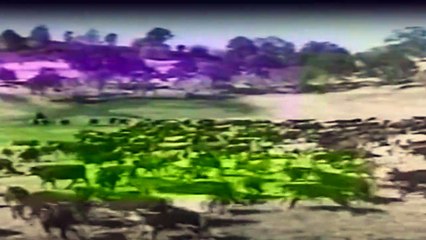 Die Leuteder Shiloh Ranch Staffel 2 Folge 15 - Part 01 HD Deutsch