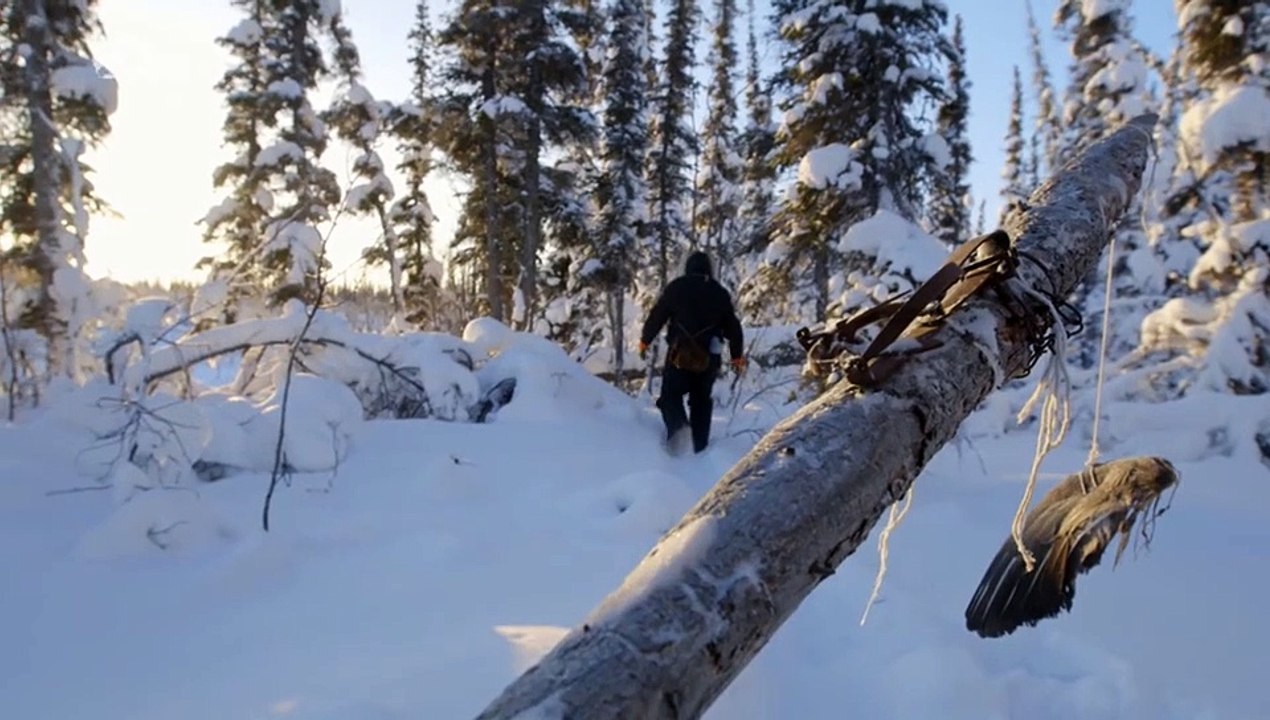 Nordalaska - Überleben am Polarkreis Staffel 4 Folge 8 HD Deutsch