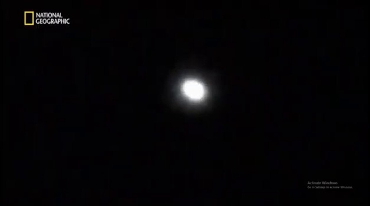 L'arca aliena di Noè - DOC - ITA