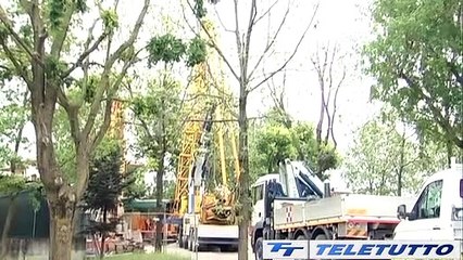 Video News - LA RACCOLTA DI SAN MARTINO