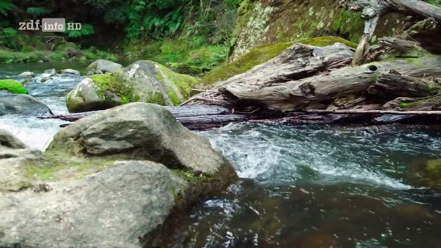 Neuseeland - Rivalen der Urzeit Staffel 1 Folge 1 HD Deutsch