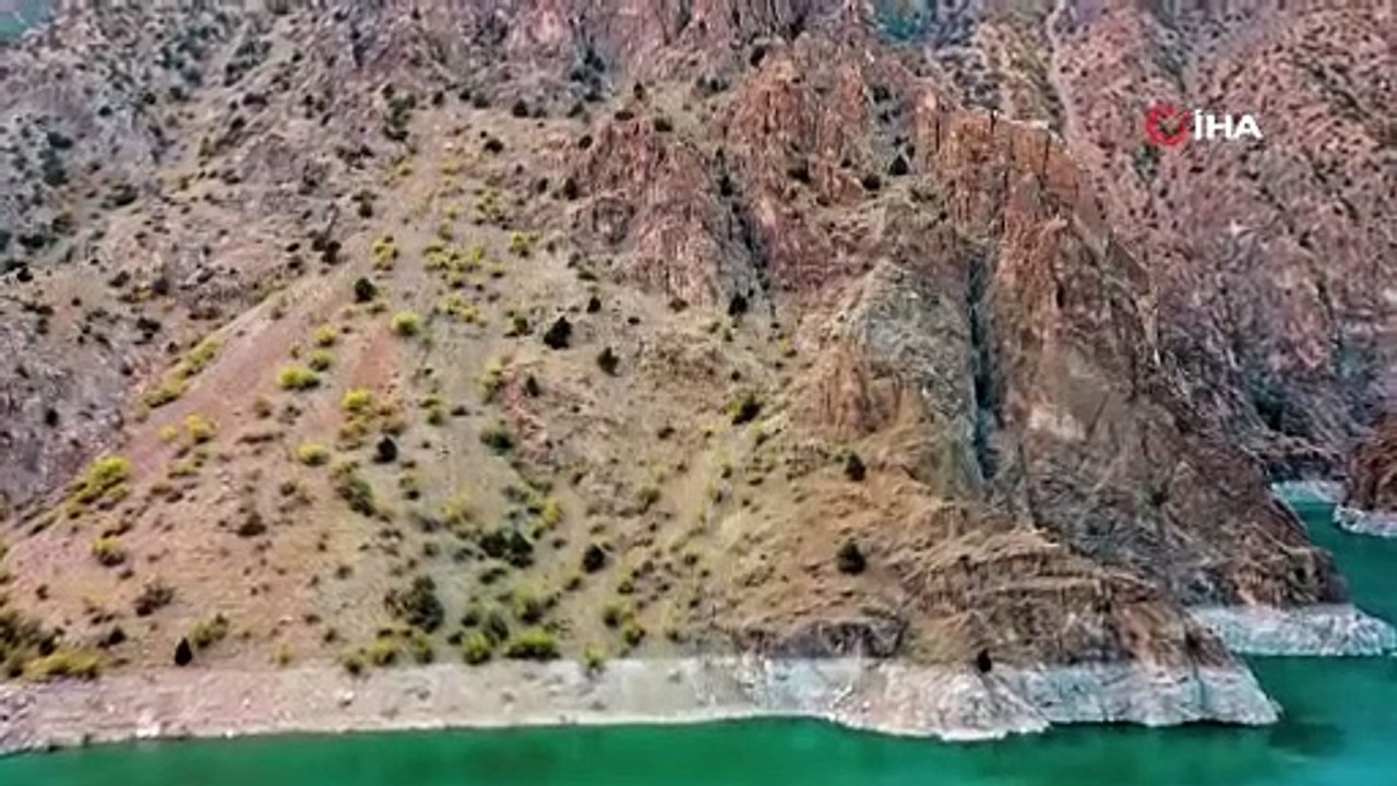 Yaban keçilerinin yolculuğu dronla görüntülendi
