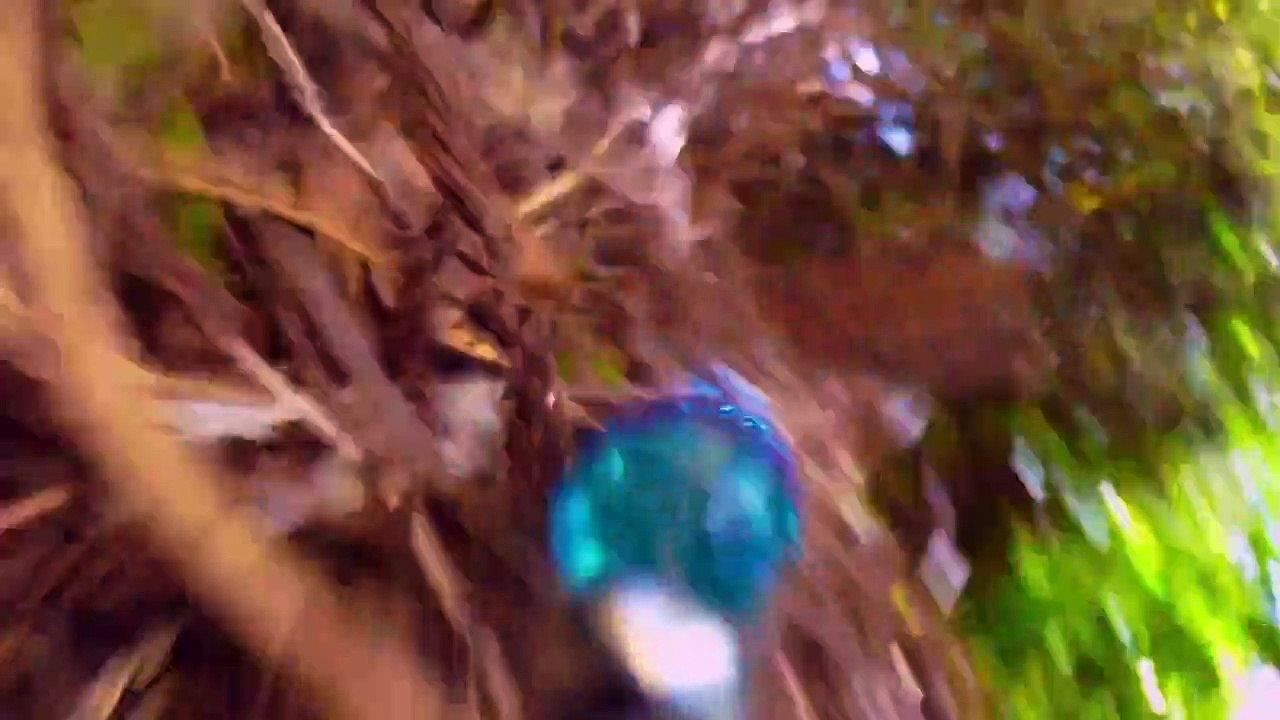 Spione im Tierreich Staffel 1 Folge 5 HD Deutsch