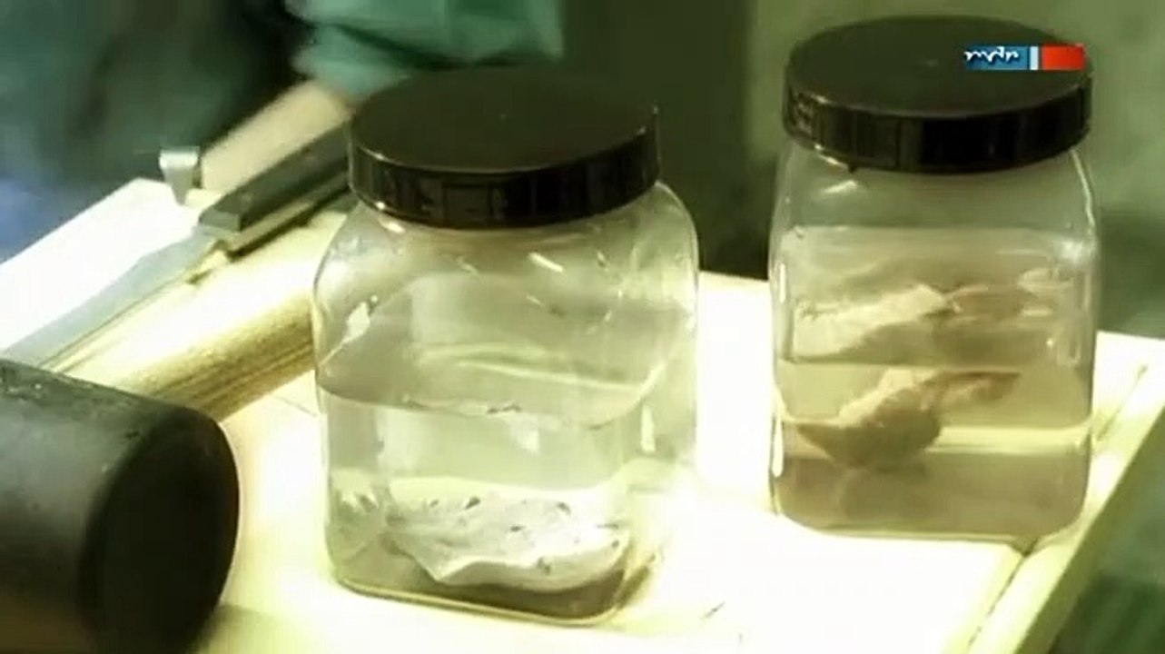 Polizeiruf 110 Staffel 29 Folge 3 - Part 01 HD Deutsch