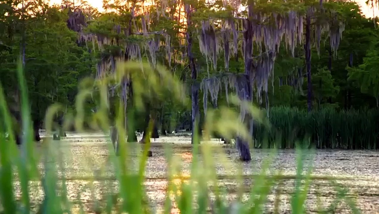 On The Case With Paula Zahn - Se17 - Ep09 - Terrifying Clues HD Watch HD Deutsch