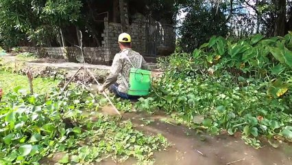 Đi Kích Cá Phải Con Thủy Quái Ủi Như Trâu Trong Đám Bèo Và Cái Kết   Thú Vui 3 Miền