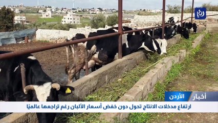 ارتفاع مدخلات الانتاج تحول دون خفض أسعار الألبان رغم تراجعها عالميًا