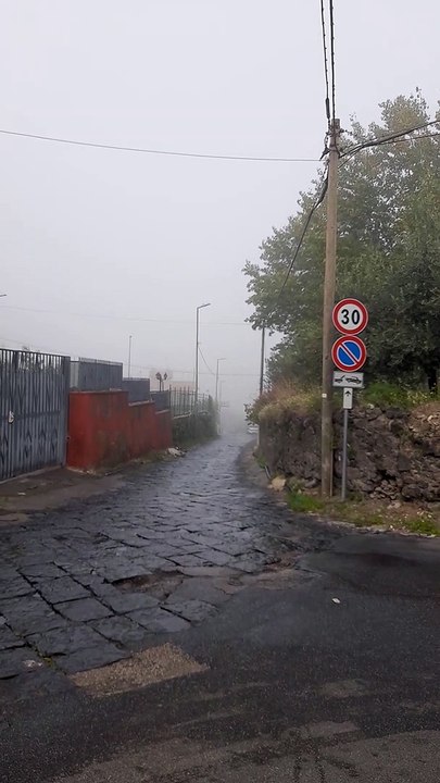 Nibbio
