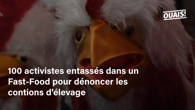 La nouvelle action de L214 pour dénoncer les conditions d'élevage