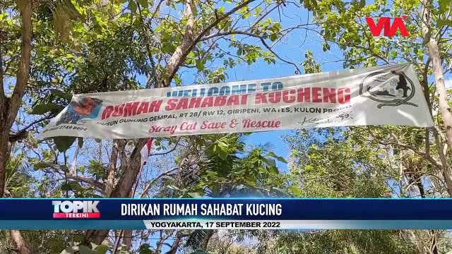COBOY KUCING DEDIKASIKAN RUMAH UNTUK ASUH KUCING LIAR