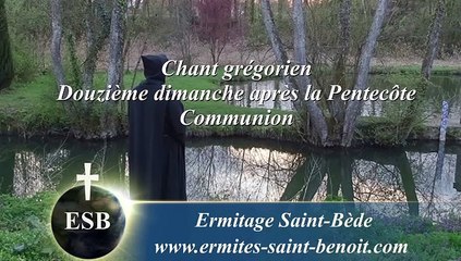 Communion De fructu du 12e dimanche après la Pentecôte - Ermitage Saint-Bède film Jean-Claude Guerguy by Ciné Art Loisir