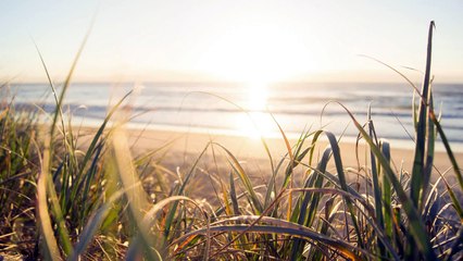 Best Acoustic Love Songs of 2022 🎶