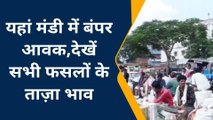 विदिशा: कृषि उपज मंडी में धान की बंपर आवक,किसानों और व्यापारियों के बीच उत्साह की तस्वीर.