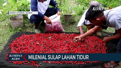 Kaum Milenial Sulap Lahan Tidur jadi Desa Hortikultura