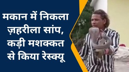 विदिशा: जहरीला सांप निकलने से मचा हड़कंप, देखें रेस्क्यू का लाइव VIDEO