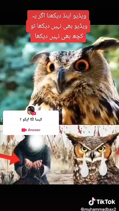 TikTok - Make Your Day
