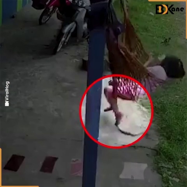 Entry Of Snakes