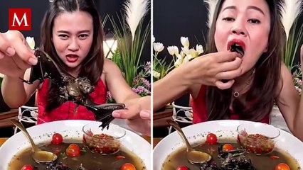 Detienen a youtuber por comerse un murciélago en sopa; caso genera polémica