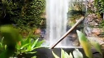 Soothing and Relaxing sounds of rain and piano- Fall Asleep fast.