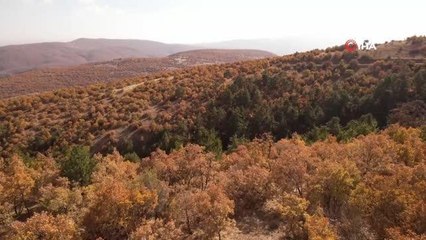 Soğuksu Milli Parkı'nda masalsı kareler