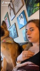 When your dog is more funny than you