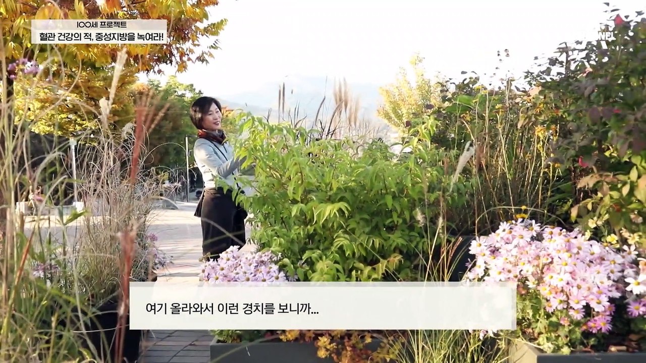 혈관 속 중성 지방을 잡아줄 유산소 운동+채소! 또 지방 흡수를 막는 중성지방 개선 유산균