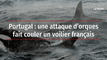Portugal : une attaque d’orques fait couler un voilier français