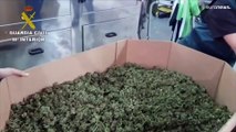 Mais de 32 toneladas de marijuana apreendidas em Espanha