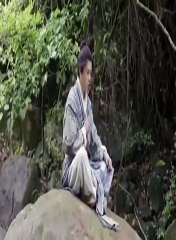 Find the kung fu book of nine energies and the sun