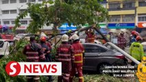 Six injured after tree falls on car, bike on Jalan Maluri