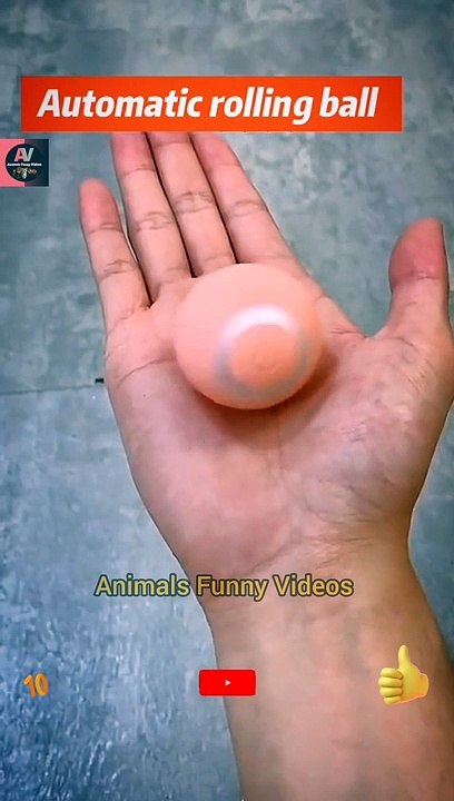 Cute Kittens Play In Ball | Little Cat Videos | Funny Cat Videos 2022 | Animals Funny Videos