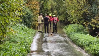 Woman and Child rescued from car in Hellingly floodwater
