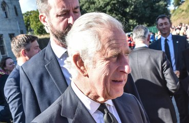 Rei Charles 'viaja com ursinho de pelúcia'